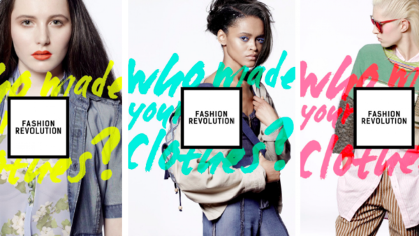 Exploring the Evolution of Clothing Brands with Yolo247 and Playinexch